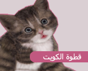الصورة الرمزية قطوة الكويت