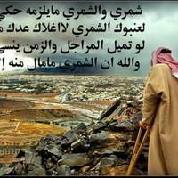 الصورة الرمزية مبارك الدرويش