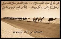 الصورة الرمزية مساعد بن حمد الشمري