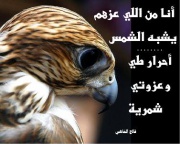 الصورة الرمزية فهد سالم المسعودي